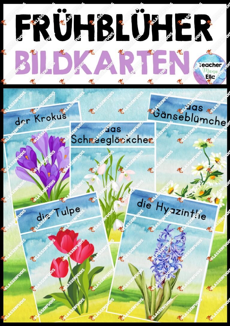 Frühblüher Bildkarten